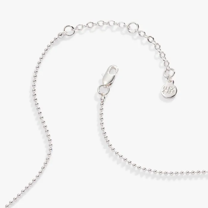 Necklaces Women Alex And Ani Leo Zodiac DoubleSided Charm Necklace Silver