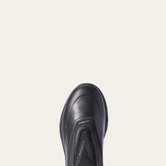 English Riding Boots Women Ariat Ascent Paddock Boot Black