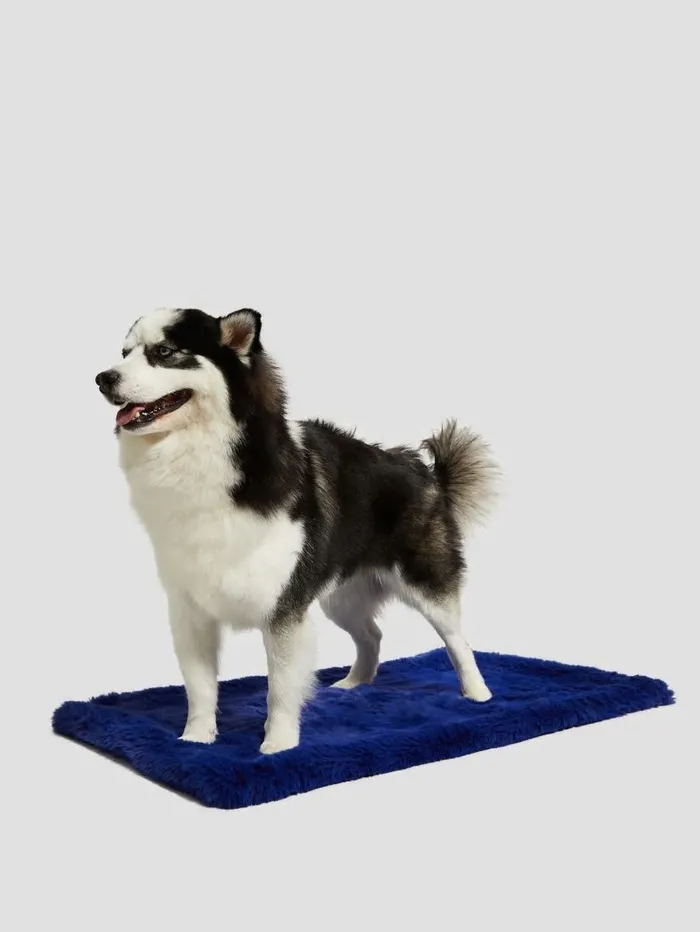 GUESS FauxFur Pet Carpet Indigo Blue Women Home