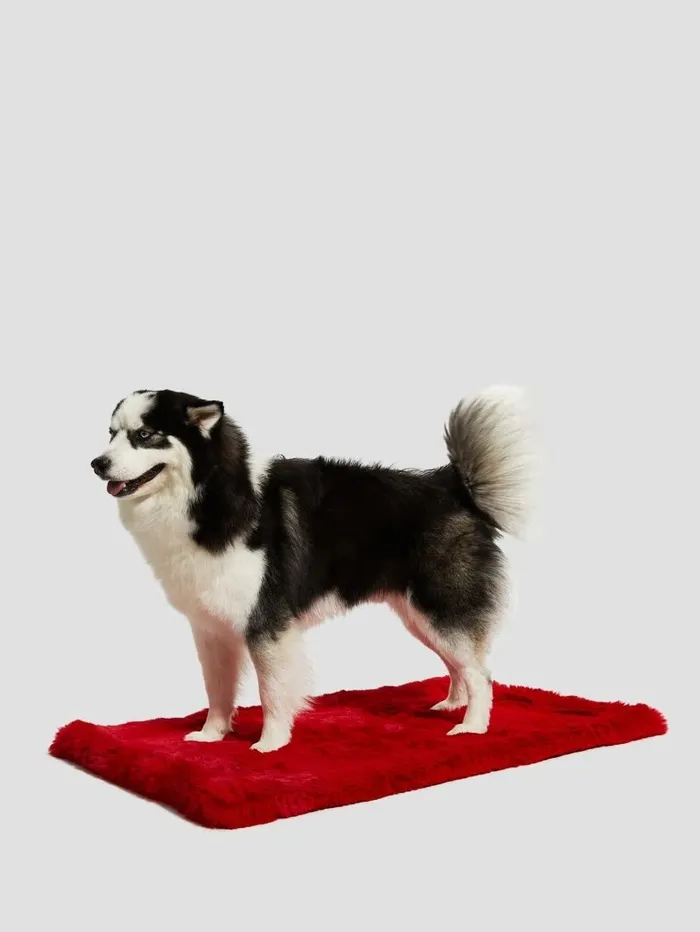 Home Women FauxFur Pet Carpet Red GUESS