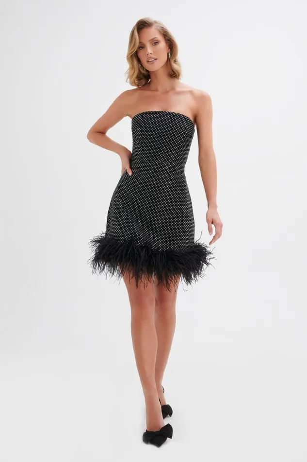 Lavish Alice ALine Dresses CHLOE Crystal Embellished Feather Hem Mini Dress In Black Black 8211 Women Lavish Alice ALine Dresses CHLOE Crystal Embellished Feather Hem Mini Dress In Black Black 8211 Women
