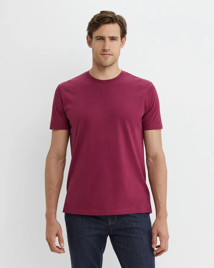 Sportscraft Supersoft Tee Mulberry Men TShirts and Polos
