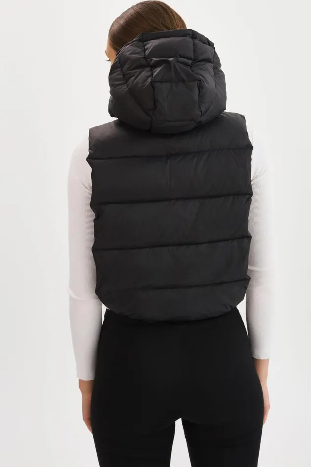Women DELMA Quilted Nylon Dickey Black LAMARQUE Puffers Women DELMA Quilted Nylon Dickey Black LAMARQUE Puffers