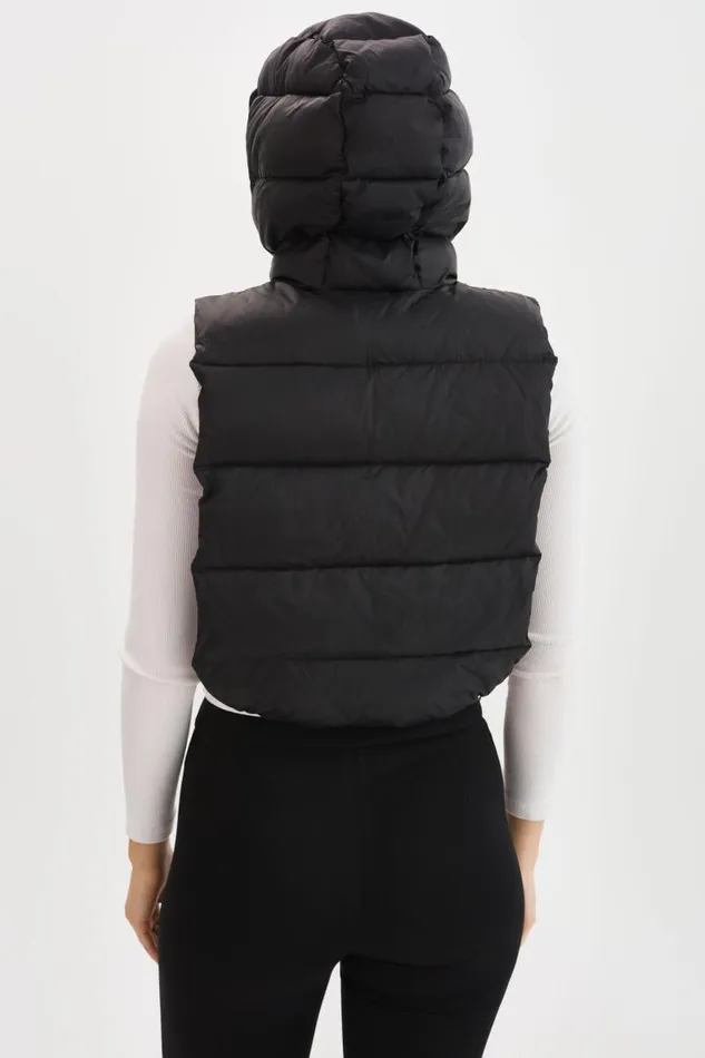 Women DELMA Quilted Nylon Dickey Black LAMARQUE Puffers Women DELMA Quilted Nylon Dickey Black LAMARQUE Puffers
