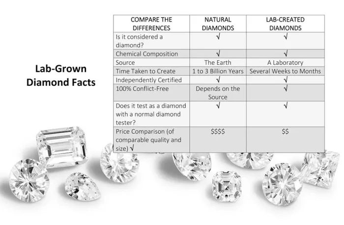Women Diamonds Badgley Mischka 1ct Diamond Stud Earrings