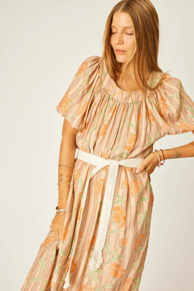 Women Natalie Martin Dresses Sienna Dress Chamomile Apricot