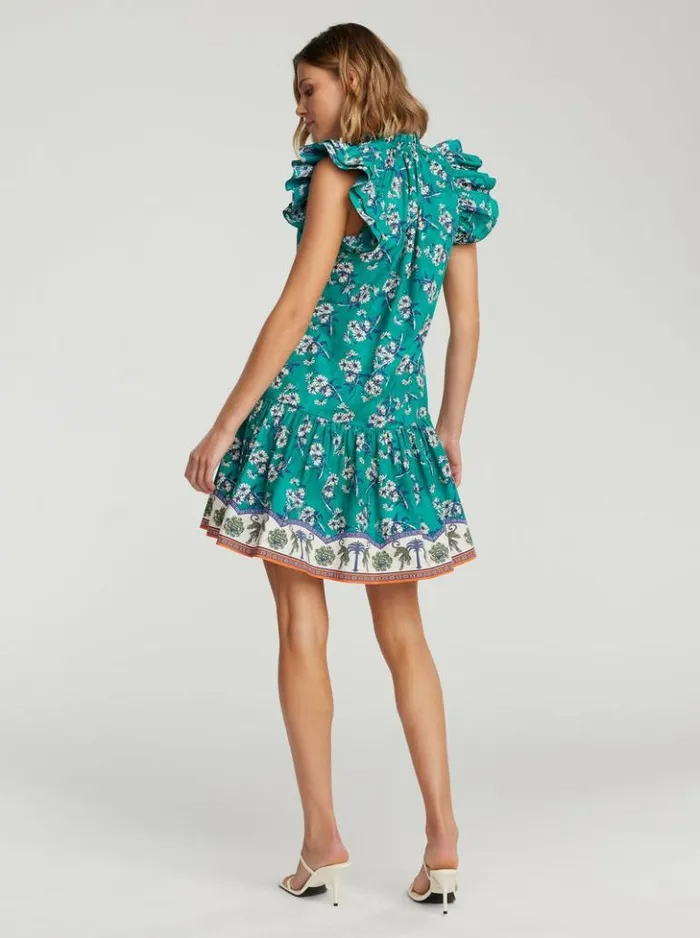Women Robert Graham Dresses Savannah Dress Teal