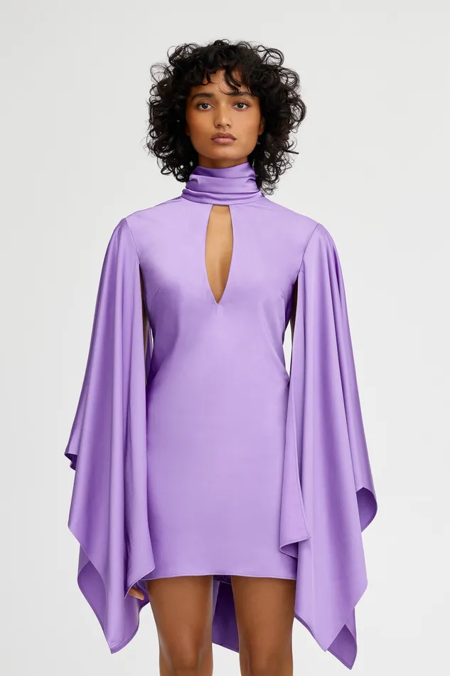Women Significant Other ADRIANA LONG SLEEVE MINI DRESS Dresses