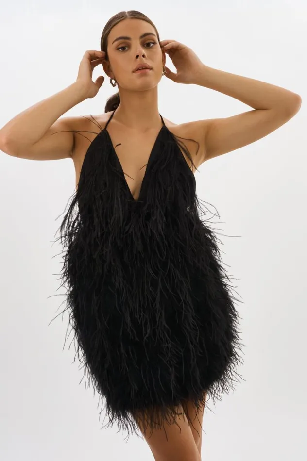 Women SOLVEIG Feather Dress Black LAMARQUE Dresses Women SOLVEIG Feather Dress Black LAMARQUE Dresses