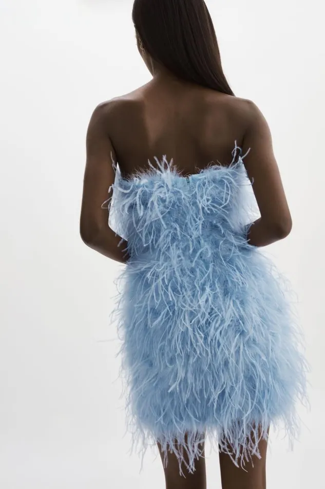 Women TRIANA Feather Dress Powder Blue LAMARQUE Dresses Women TRIANA Feather Dress Powder Blue LAMARQUE Dresses